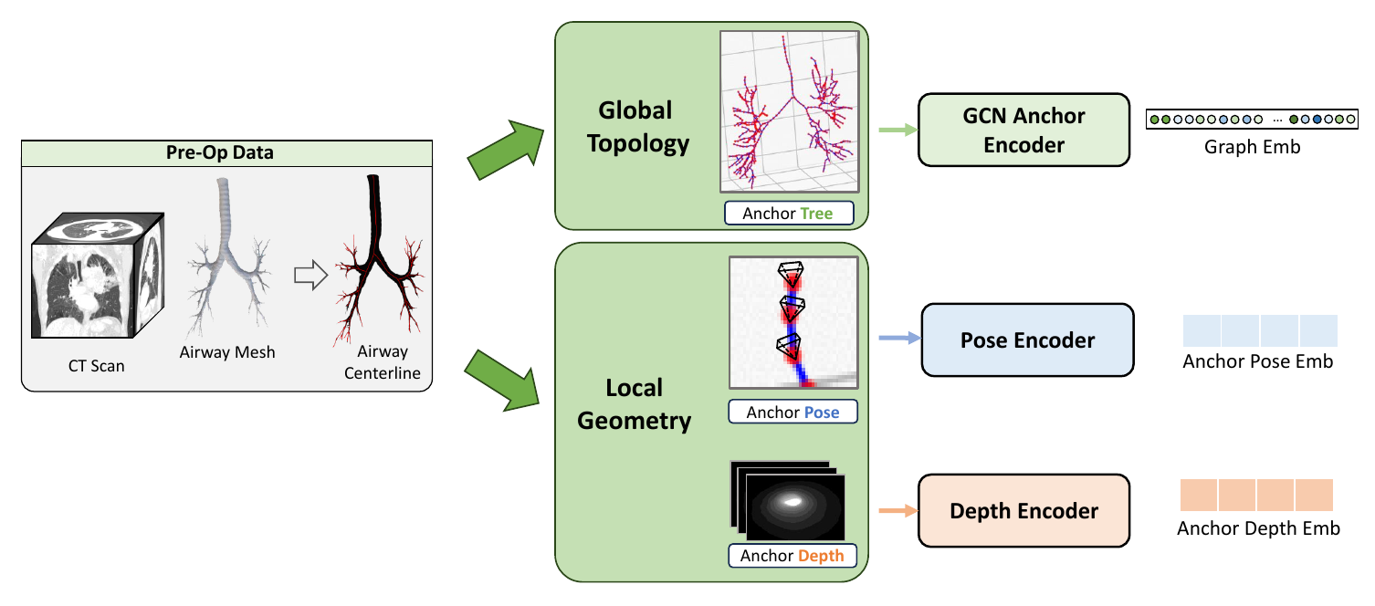 Geometric prior modeling from CT and airway mesh to global topology and local anchor geometry