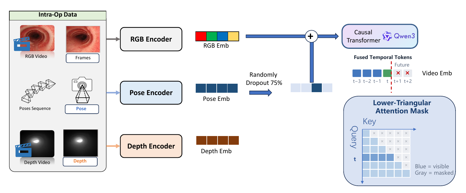 Video temporal modeling with RGB, pose, and depth encoders feeding a causal Transformer